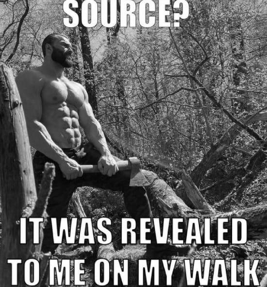 Source? It was revealed to me on my walk Source? It was revealed to me on my walk