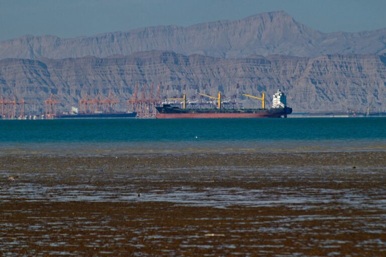 Lost Generations - Fat Tail Daily