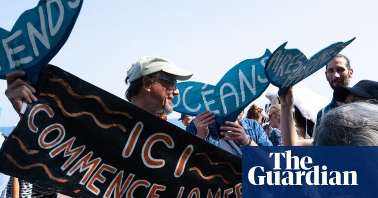 Ministers pledge UK action to ratify high seas treaty by end of year