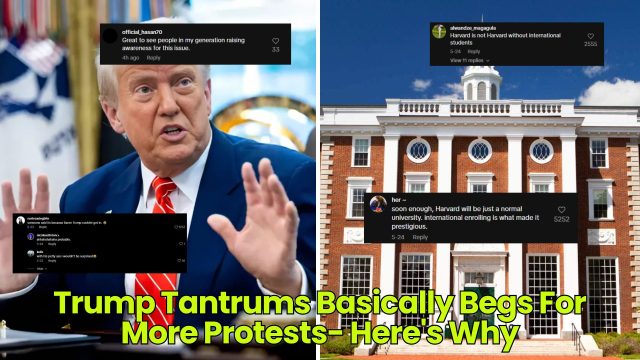 Trump Tantrums Basically Begs For More Protests- Here's Why - Dumb Little Man