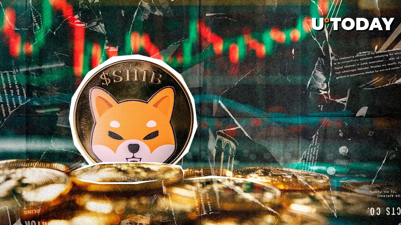 Shiba Inu Skyrockets 50% in Volume, Where's Price Heading?