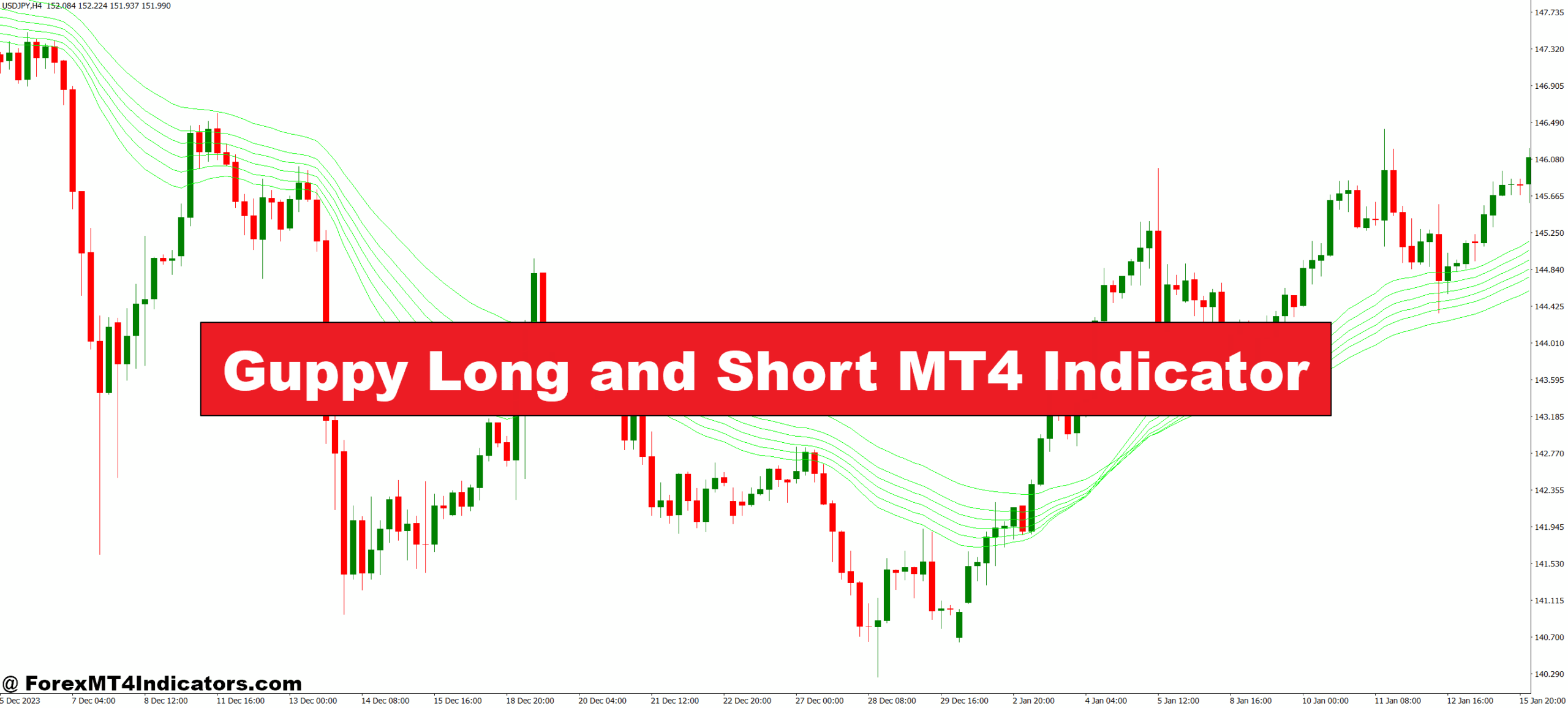 Guppy Long and Short MT4 Indicator