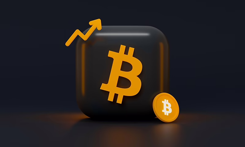 The Dilemma: Owning Bitcoin vs. Investing in Bitcoin ETFs | BitcoinChaser