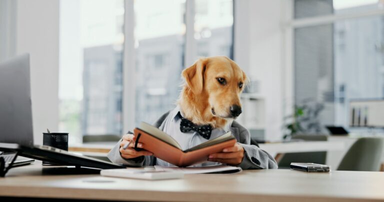 The Dog Deals of Summer - Fat Tail Daily