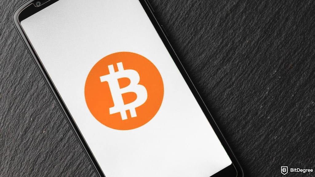 35 Companies Now Hold Over 1,000 Bitcoin Each