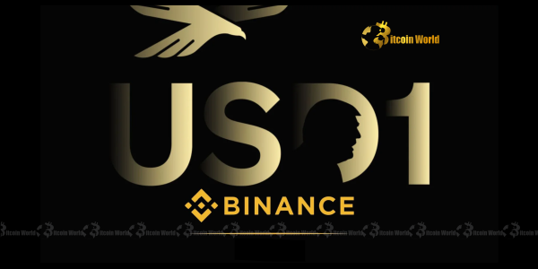 Binance Stablecoin: Unpacking the Explosive USD1 Allegations
