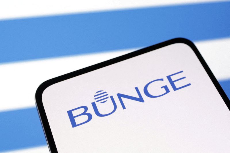 Bunge charters first Argentine soy meal cargo to China