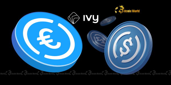 German Fintech Ivy Unleashes Seamless USDC EURC Integration
