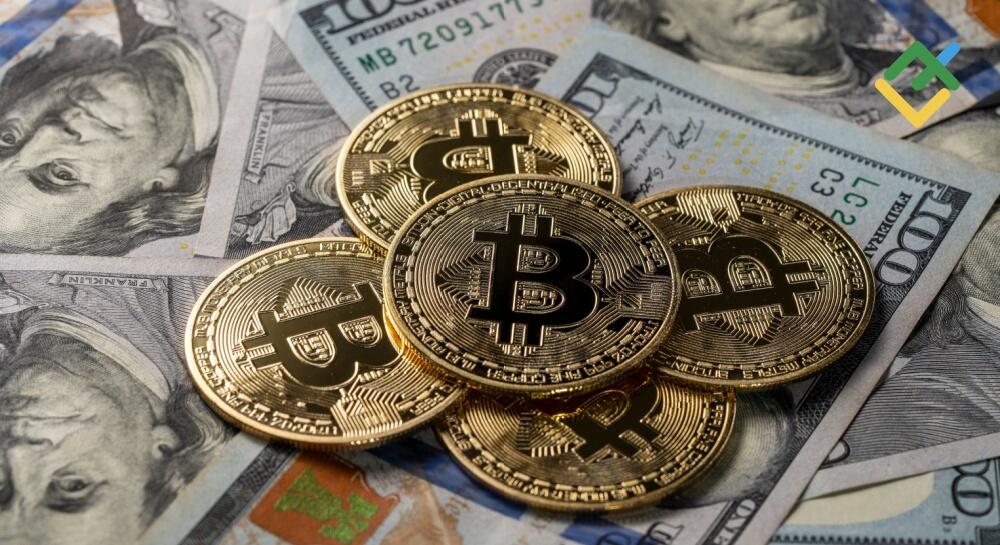 If I Invest $100 in Bitcoin Today: How Much Will It Be Worth in 2030? | LiteFinance