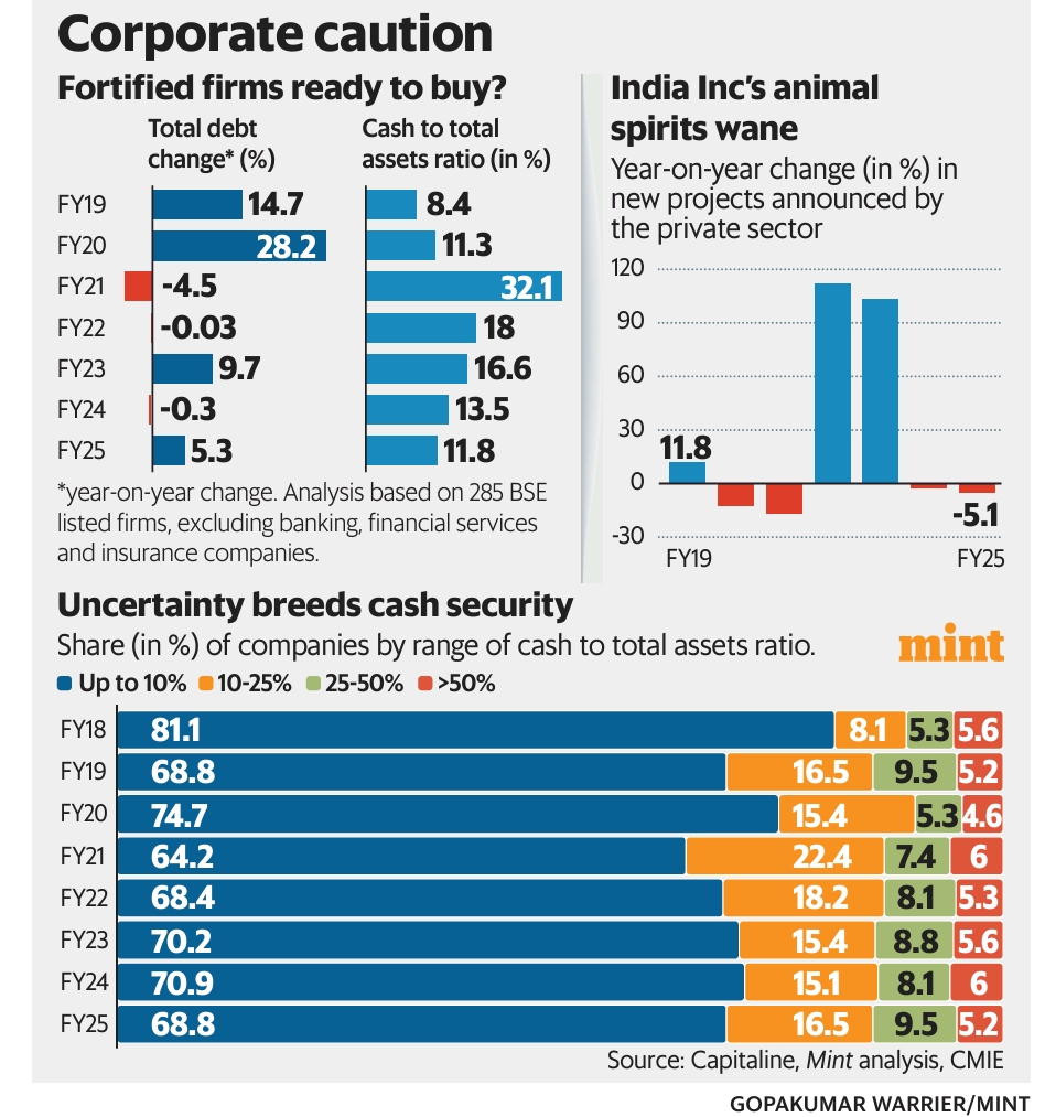 India Inc : Missing Animal Spirits