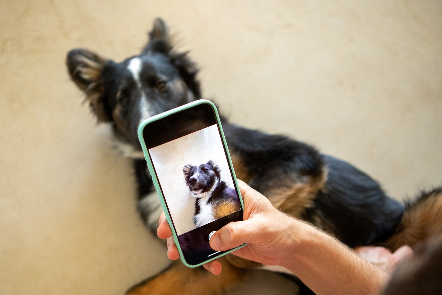 July Dog Of The Dow's 'Safer' Buy: Verizon