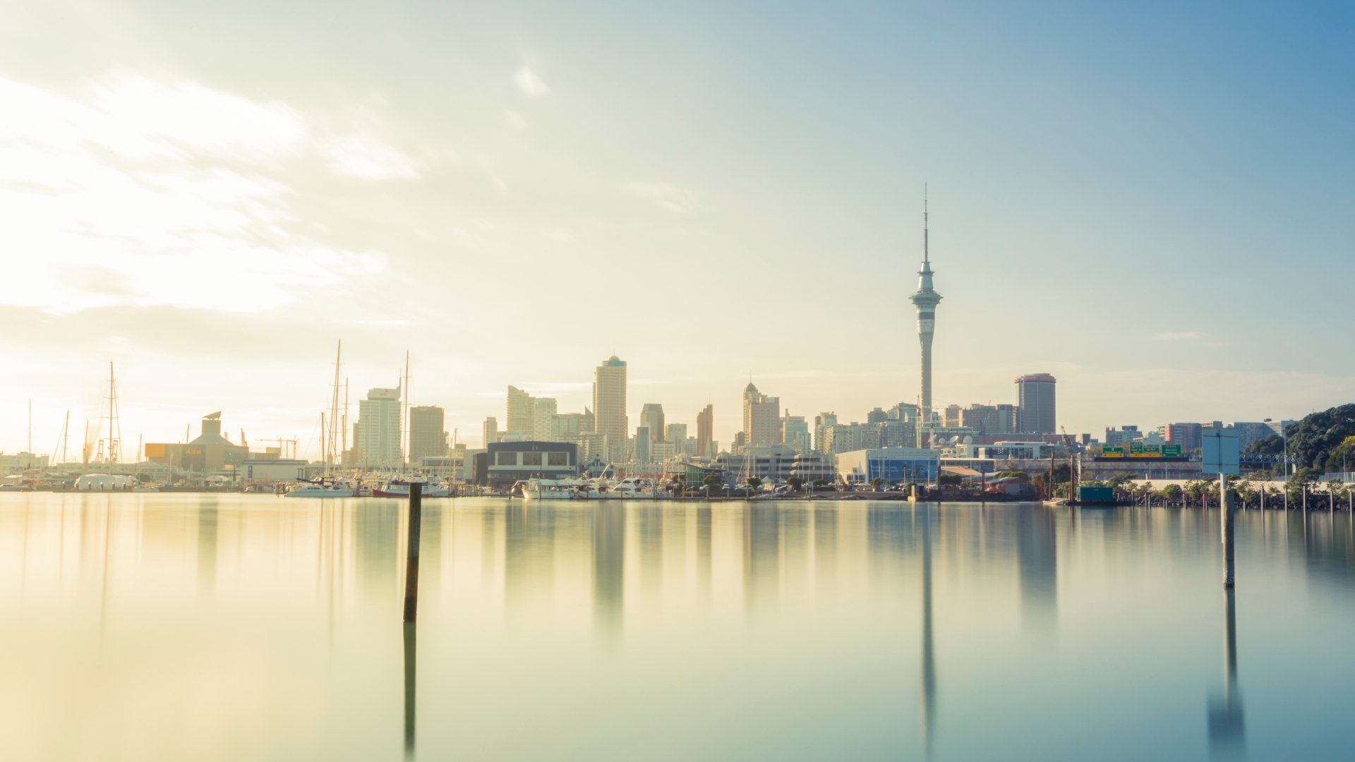 New Zealand dollar rebounds, CPI projected to rise