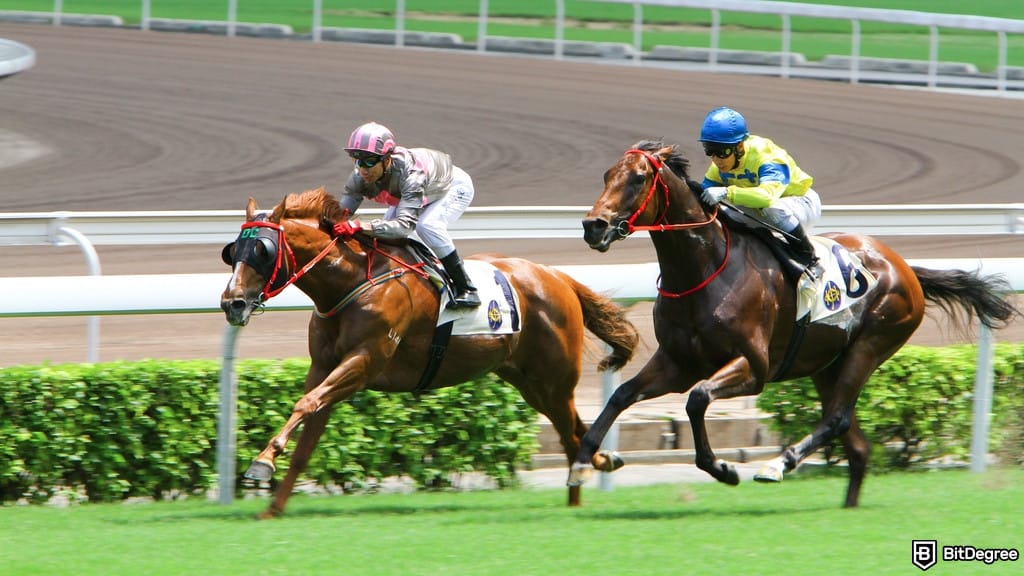 Owners Club Featured in Latest BitDegree Mission