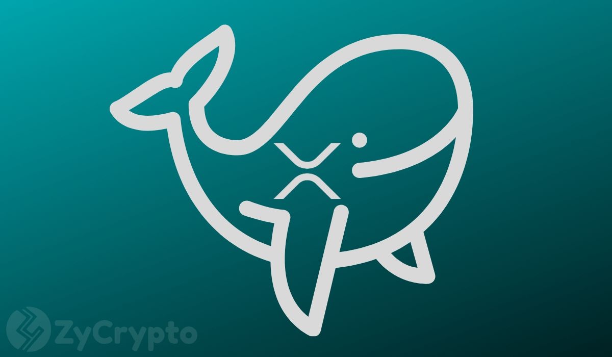 Ripple’s XRP Price Heating Up for $10 As XRP Whale Holdings Surpass 42 Billion Coins