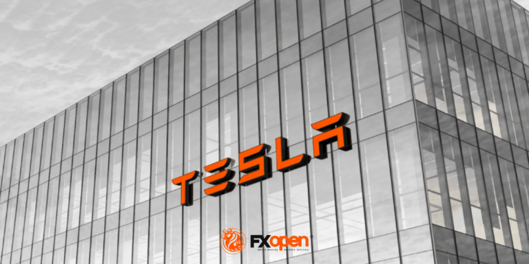 Tesla Shares (TSLA) Drop Following Earnings Report