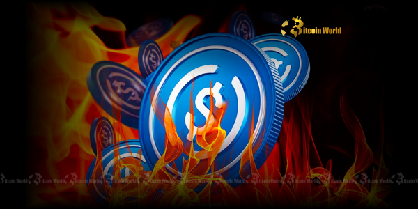 Unveiling the Epic 234 Million USDC Burn: A Deep Dive into Stablecoin Dynamics