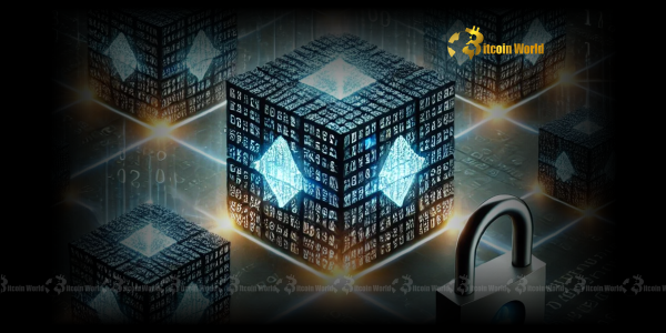 Validium Network’s Revolutionary Leap: Embracing Avail for Enhanced Blockchain Scalability