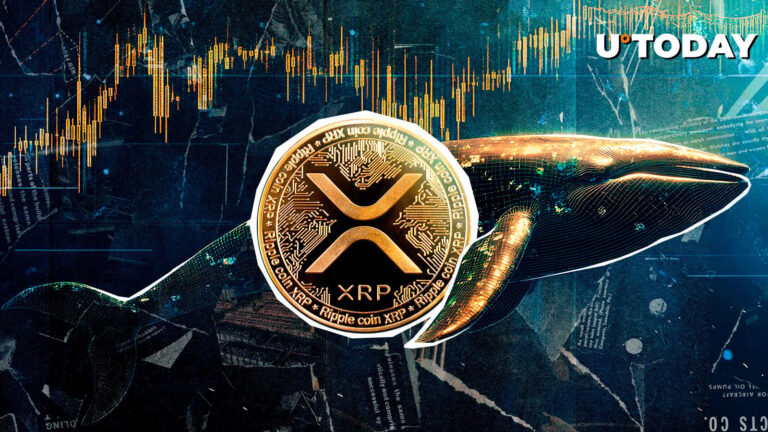 Whale Who Bet Against XRP Liquidated