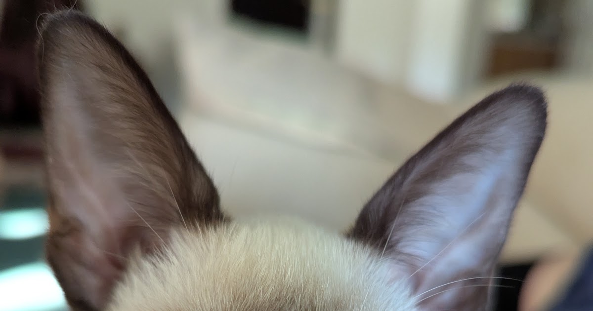 How to Transform Ourselves:  As People, As Traders