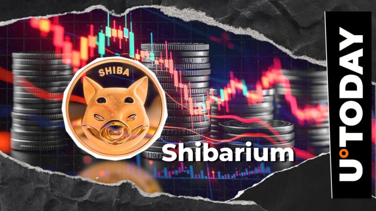 Shiba Inu: Shibarium Hit With 99.8% Drop as Transactions Hit Rare Low - U.Today