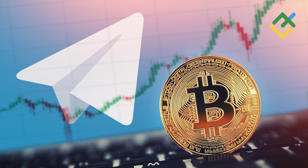 Crypto Signal on Telegram: Top Groups for Trading in 2025 | LiteFinance