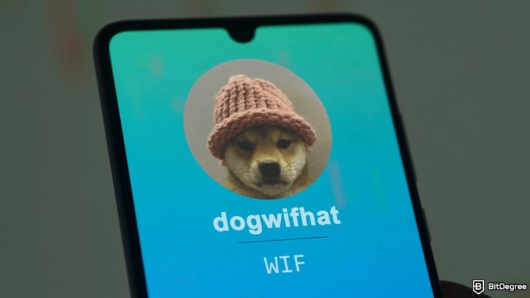 Dogwifhat’s Knit Cap Fetches Nearly $800K in BTC Auction
