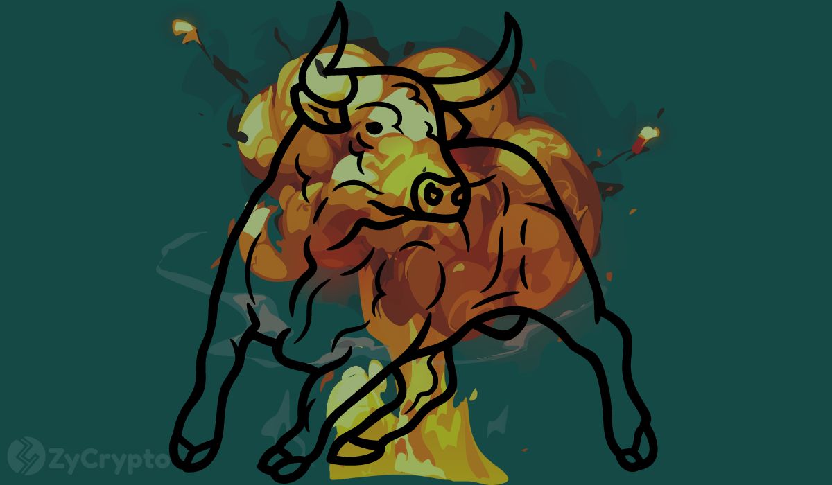 Fresh Data Suggests Ether, XRP, Solana, DOGE, Cardano, Shiba Inu Massive Eruption Brewing