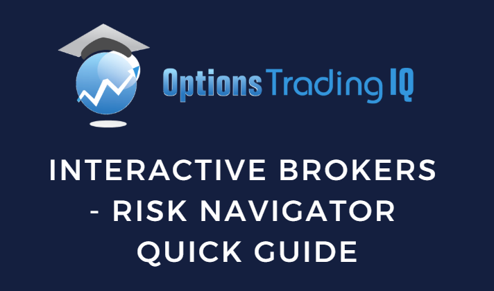 Interactive Brokers – Risk Navigator Quick Guide