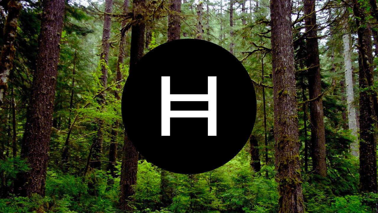 Is Hedera Hashgraph the Most Sustainable Network?