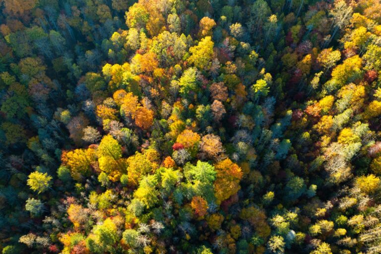 PotlatchDeltic: U.S. Timberland REIT Waiting For The Next Housing Upcycle (NASDAQ:PCH)