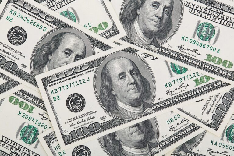 Public Fraud - Fat Tail Daily