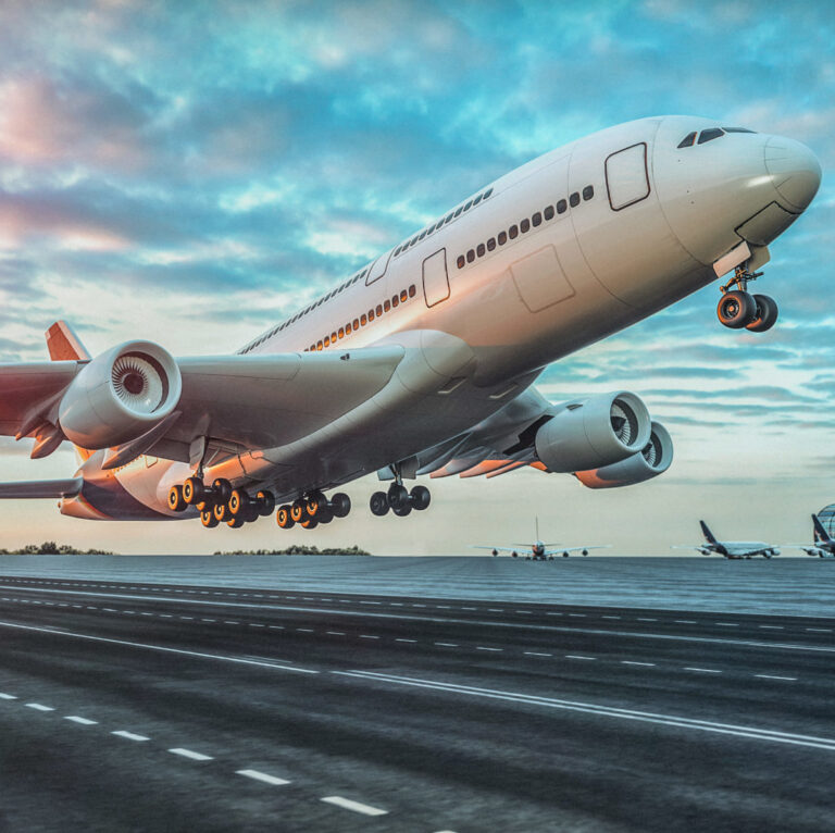 Regain your birthright, starting with this… - Fat Tail Daily