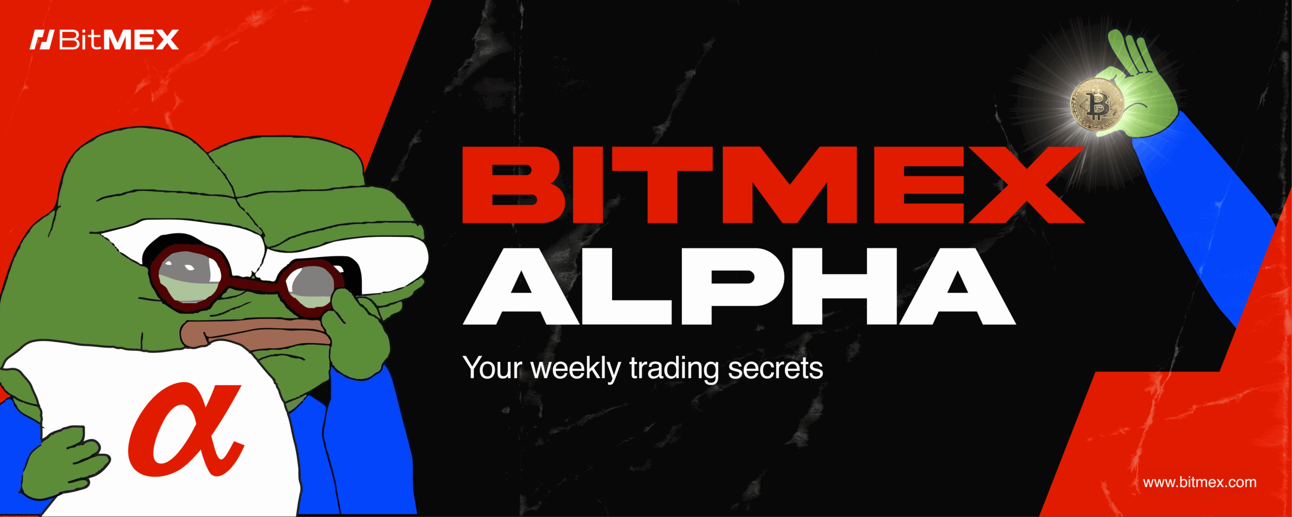 DAT Stocks vs Crypto: Which is the Better Investment? | BitMEX Blog