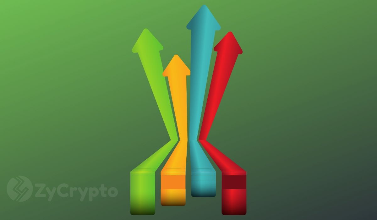 USDT Dominance Confirms Altseason in view— Expert Declares ETH, XRP, SOL, ADA, SHIB Could 10x in Price 