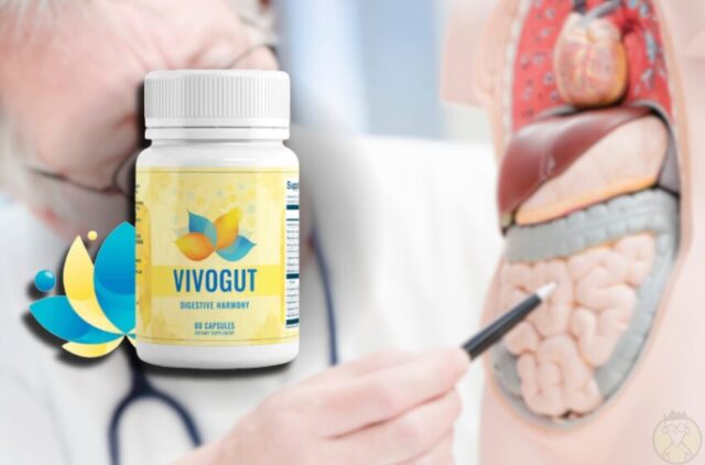 VivoGut MW Reviews 2025: The Ultimate Gut Health Solution for Lasting Wellness