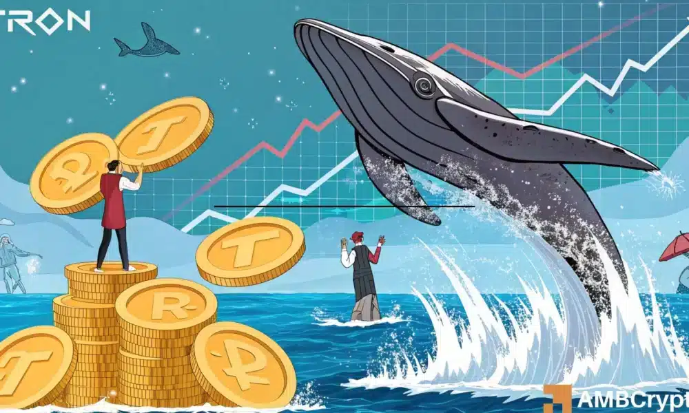 What TRON’s whale accumulation reveals about TRX’s path to $0.36