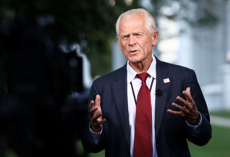 White House's Navarro says pharma tariffs likely under Section 232 probe