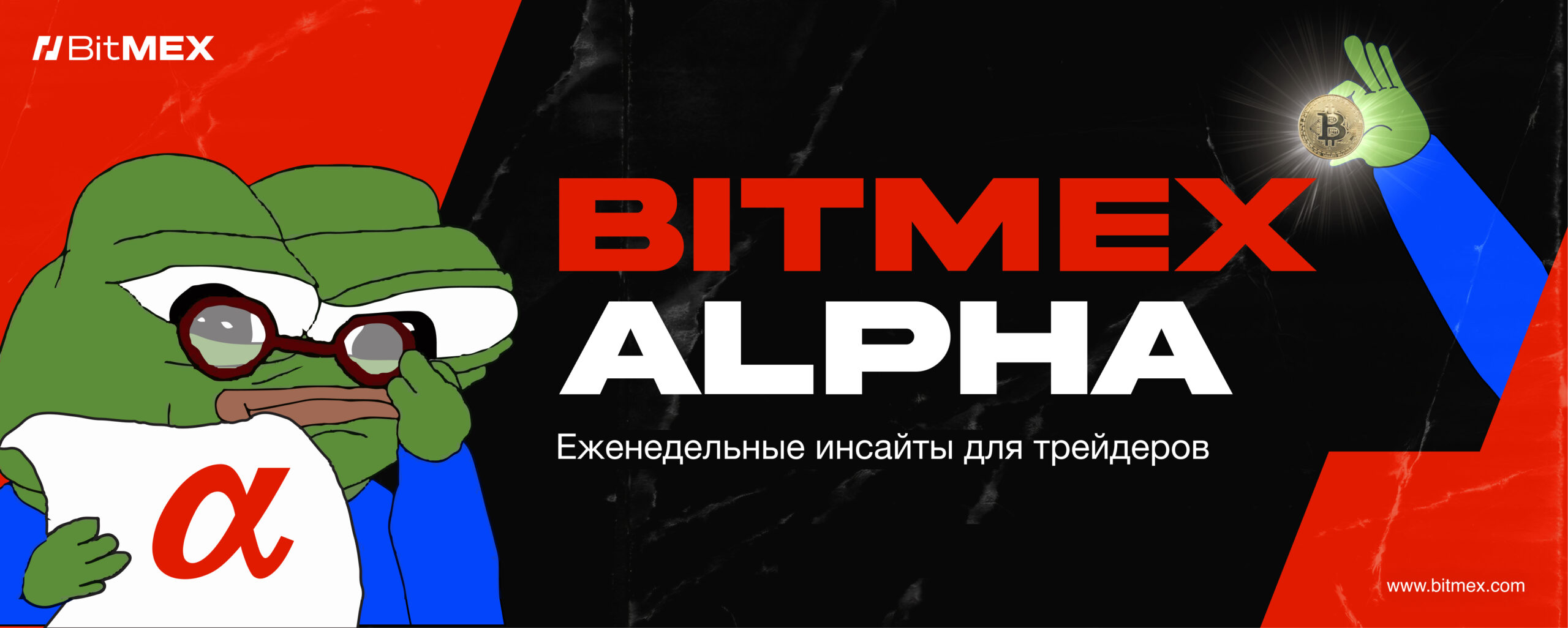 Акции DAT-компаний или криптовалюта: что является лучшей инвестицией? | BitMEX Blog