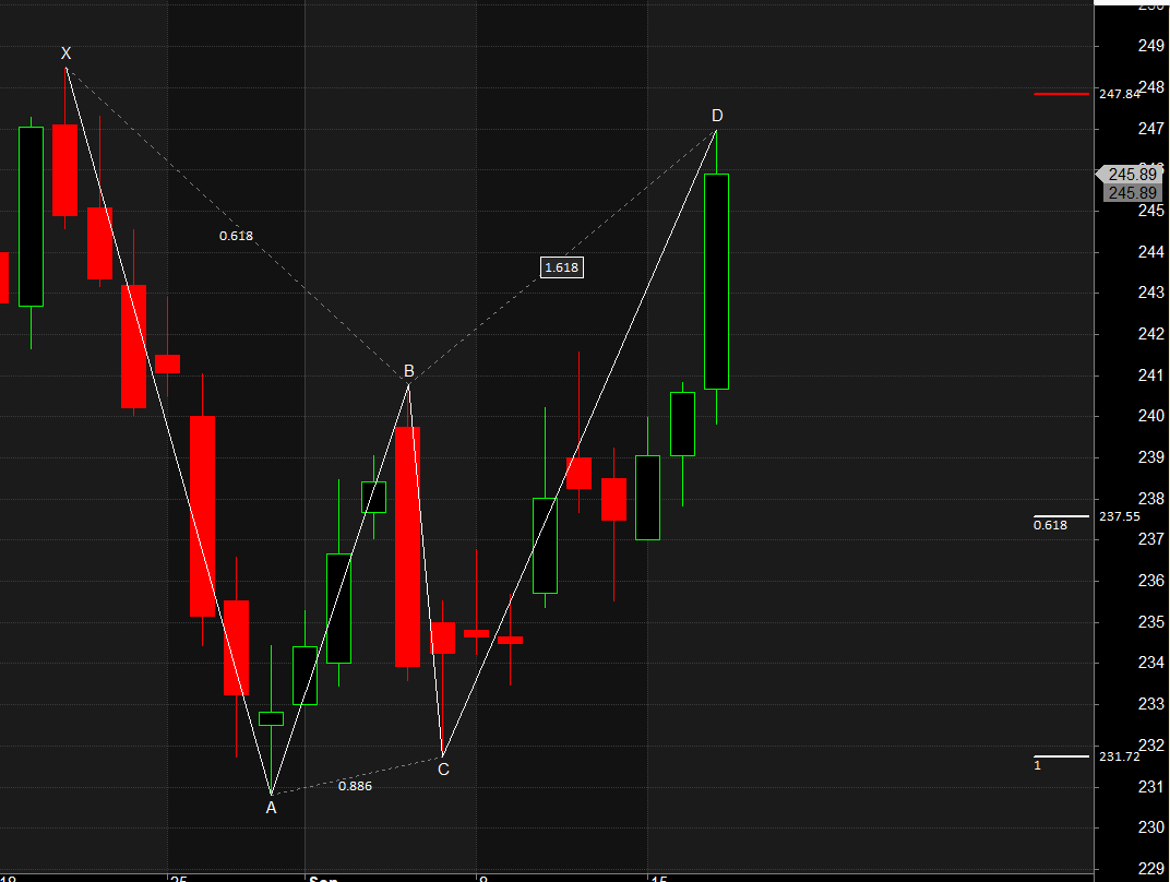 Bank Baroda TATA MOTORS JIndal Steel Harmonic Pattern