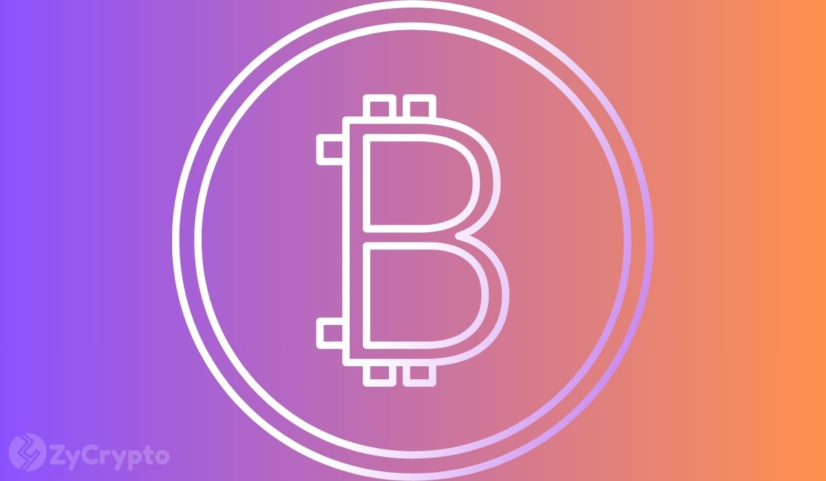 Why This Chart Expert Says Bitcoin Will Not Hit The Coveted $200,000 Mark Until 2029