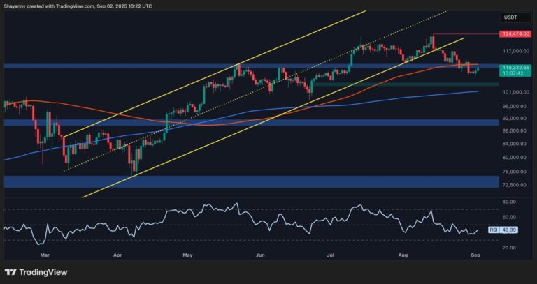 Bitcoin Price Analysis: Will a Key Support Break Trigger More Losses for BTC?