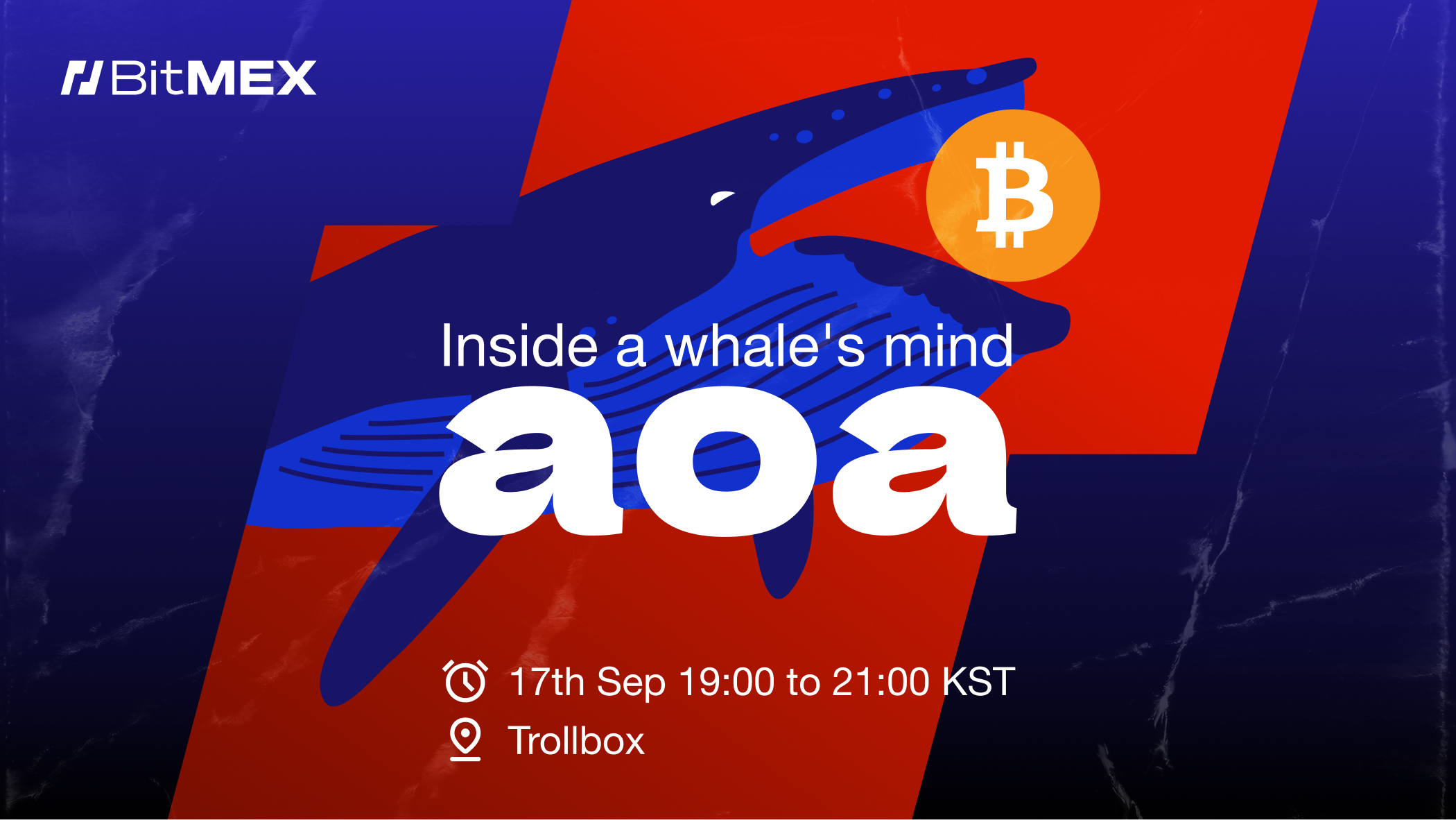 Coming Soon: Exclusive Trollbox AMA with Whale Trader aoa | BitMEX Blog