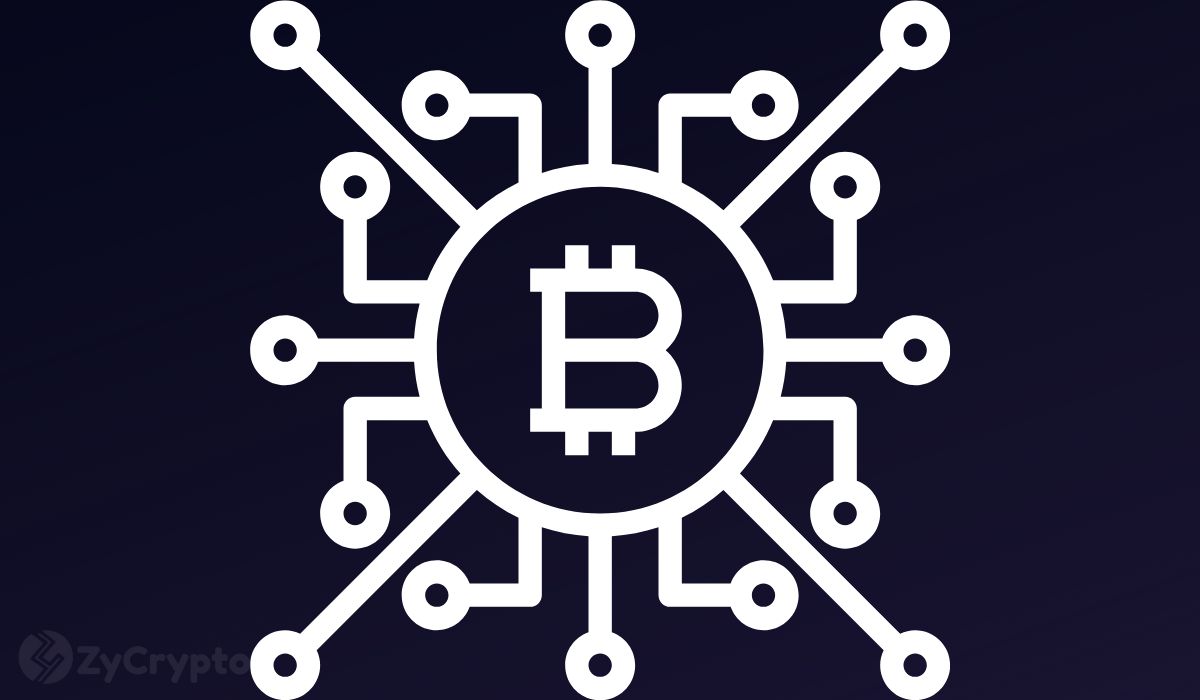 Crypto Market Reaches $4 Trillion With XRP, Solana, Dogecoin, and Cardano Leading The Resurgence