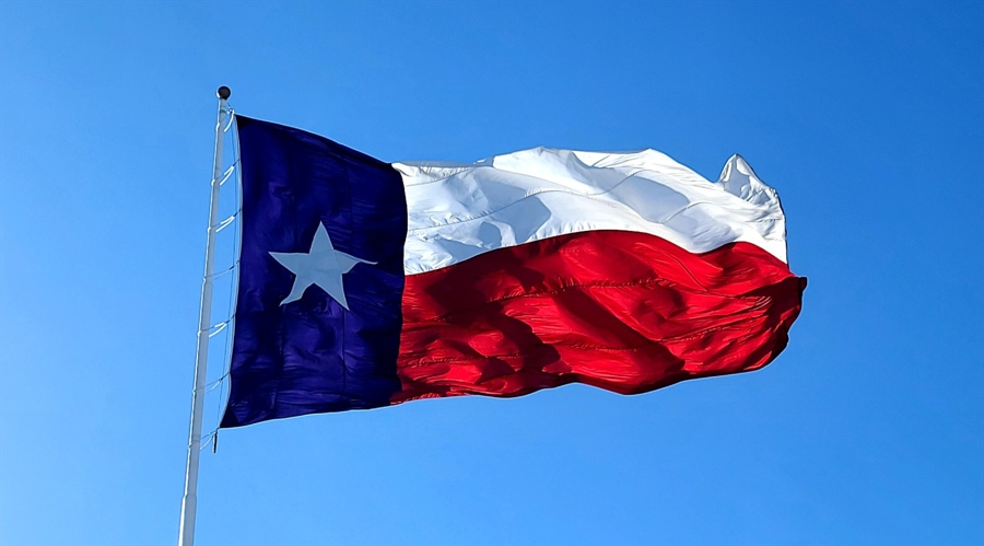 Texas flag