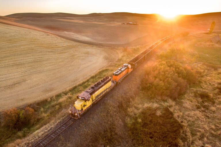 Long Haul Gold - Fat Tail Daily