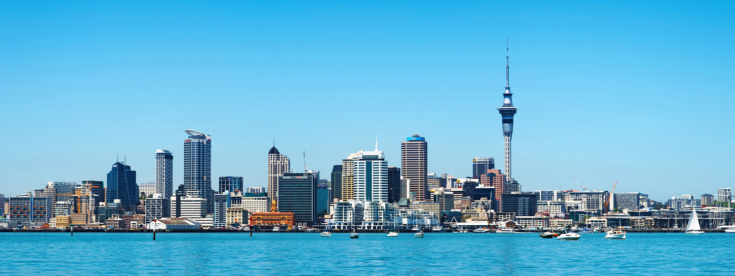 New Zealand skyline