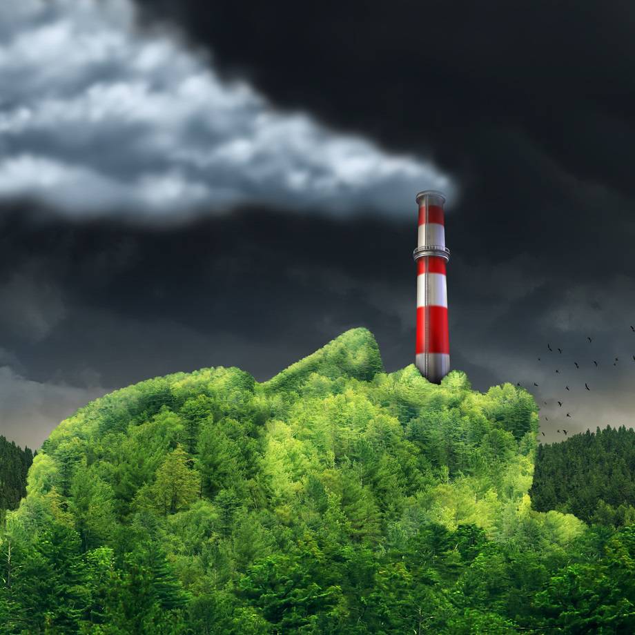 The climate change experiment is back on - Fat Tail Daily