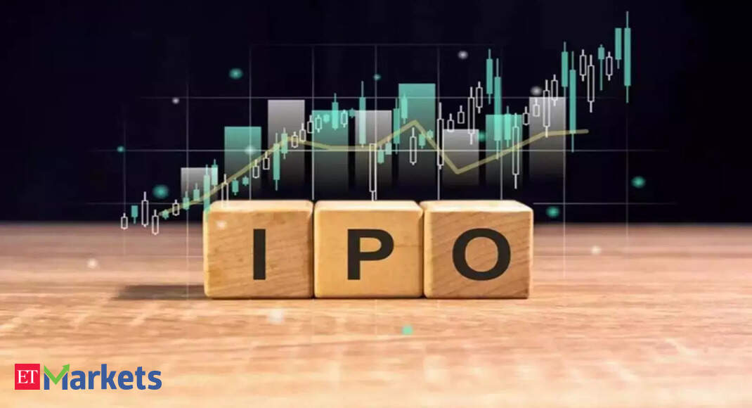 Top 10 IPOs of 2025 so far: Gains up to 115%, 3 turn multibaggers - IPO Corner
