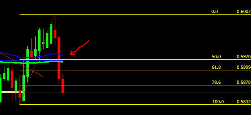 image 2025 09 20 141157017