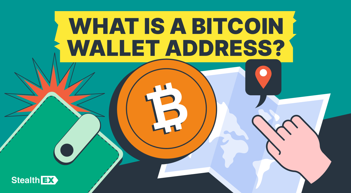 What Does a Bitcoin Address Look Like? BTC Wallet Address Format and Examples